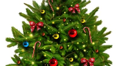 Photo of Украшения для новогодней елки